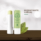 Hidratante Labial Avolovers Azeite de Abacate